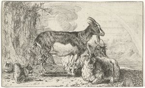 cabras Animales (título de la serie) Zoographiam (título de la serie) de Jan van den Hecke