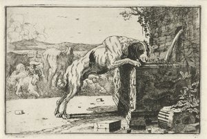 perro en una fuente Animales (título de la serie) Zoographiam (título de la serie) de Jan van den Hecke