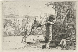 perro en una fuente Animales (título de la serie) Zoographiam (título de la serie) de Jan van den Hecke