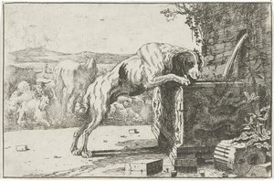 perro en una fuente Animales (título de la serie) Zoographiam (título de la serie) de Jan van den Hecke