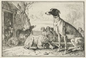 perrera Animales (título de la serie) Zoographiam (título de la serie) de Jan van den Hecke
