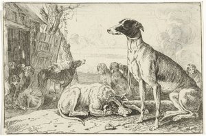 perrera Animales (título de la serie) Zoographiam (título de la serie) de Jan van den Hecke