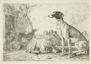 perrera Animales (título de la serie) Zoographiam (título de la serie) de Jan van den Hecke
