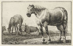 caballos y vacas Animales (título de la serie) Zoographiam (título de la serie) de Jan van den Hecke
