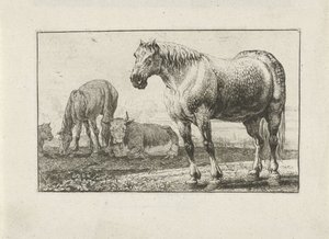 caballos y vacas Animales (título de la serie) Zoographiam (título de la serie) de Jan van den Hecke