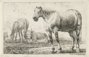 caballos y vacas Animales (título de la serie) Zoographiam (título de la serie) de Jan van den Hecke