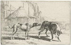 Hombre y mujer Animales (título de la serie) Zoographiam (título de la serie) de Jan van den Hecke