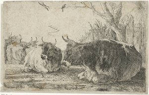 vacas descansando Animales (título de la serie) Zoographiam (título de la serie) de Jan van den Hecke