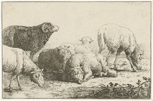 Oveja Animales (título de la serie) Zoographiam (título de la serie)
