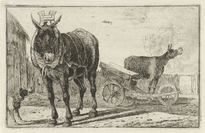 dos burros Animales (título de la serie) Zoographiam (título de la serie) de Jan van den Hecke