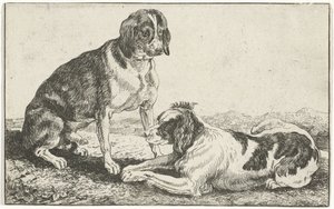 Dos perros descansando Animales (título de la serie) Zoographiam (título de la serie) de Jan van den Hecke