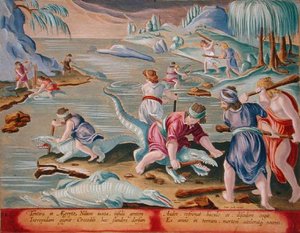 Matar cocodrilos con palos y garrotes, lámina 88 de 
