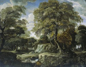Vista en el bosque
