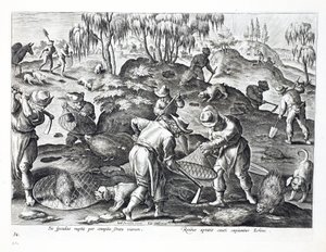 Excavando y capturando puercoespines, lámina 54, ilustración de 