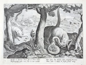 Serpiente usada en la caza de elefantes, ilustración de 