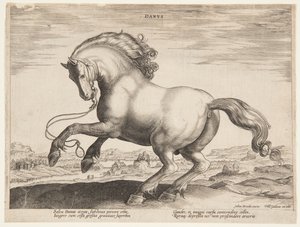 Un caballo danés, del cuarto conjunto de "Equile Joannis Austriaci"