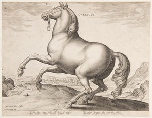Un Caballo Francés, del primer conjunto de "Equile Joannis Austriaci"