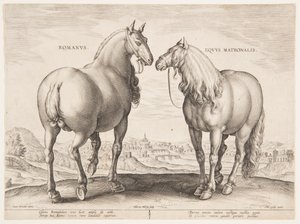 Un caballo romano, del primer conjunto de "Equile Joannis Austriaci" de Jan van der Straet, called Stradanus