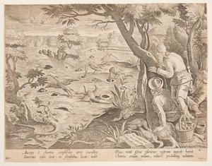 Caza de grullas usando conos, lámina 28 en la serie Venationes Ferarum, Avium, Piscium de Jan van der Straet, called Stradanus