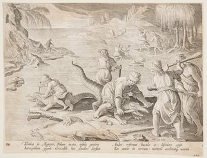 Caza de cocodrilos en Tentyra, en Egipto, lámina 30 de la serie Venationes Ferarum, Avium, Piscium
