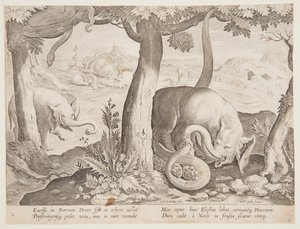 Lucha entre Elefantes y Serpientes, lámina 2 de la serie Venationes Ferarum, Avium, Piscium de Jan van der Straet, called Stradanus