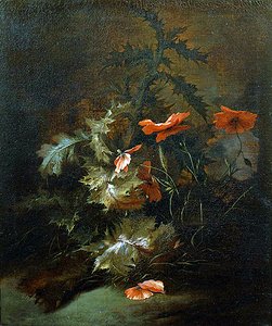 Cardos y amapolas de Jan van the Elder Kessel