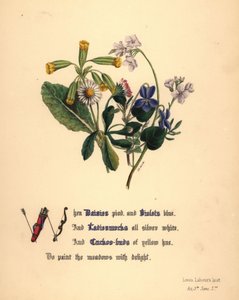 Margaritas, violetas, malvas y capullos de cuco
