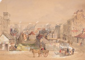 Sitio del Instituto Albert 1864 de Jane Stewart Smith