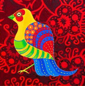 Pájaro de cola azul, 2019