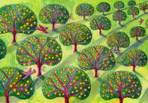 Huerto de Jane Tattersfield