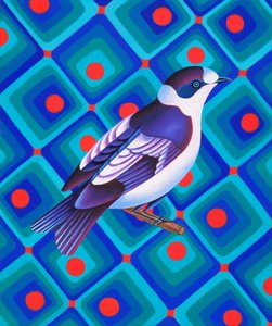 Mosquero semicollared, 2023 (óleo sobre lienzo)