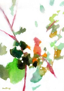  de Janel Bragg