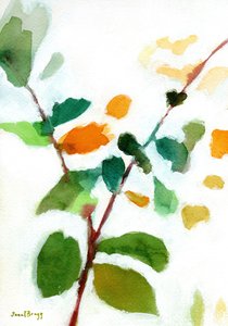  de Janel Bragg