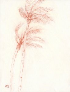 Once Upon a Tropical Vacation Palm Trees, c.2019 (lápiz sobre papel)