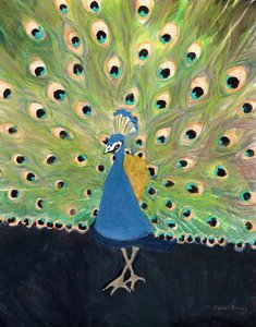 Peacock at Woodland Park Zoo, c. 2024 (técnica mixta sobre papel) de Janel Bragg