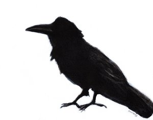 Raven at Baker Beach, c. 2023 (técnica mixta sobre papel) de Janel Bragg