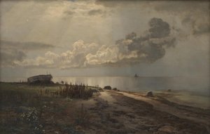Playa de Janus La Cour