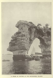 Una rareza de la naturaleza en las Islas Matsushima