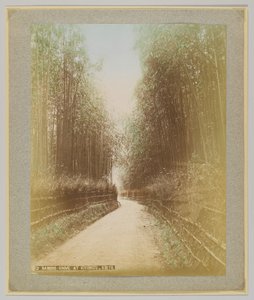 Bosque de bambú en Kiyomizu, Kioto, Japón de Japanese Photographer