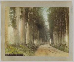 Camino Imaichi, Nikko, Japón de Japanese Photographer