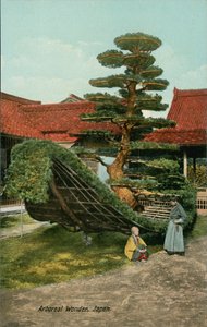  de Japanese Photographer