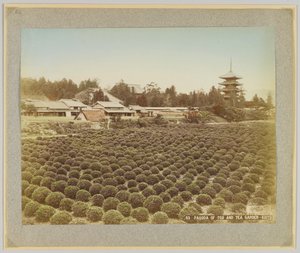 Pagoda de Toji y jardín de té, Kioto, Japón