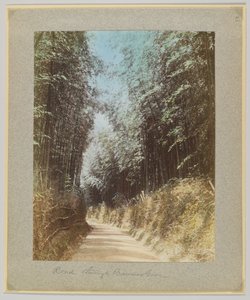 Camino a través de un bosque de bambú, Japón de Japanese Photographer