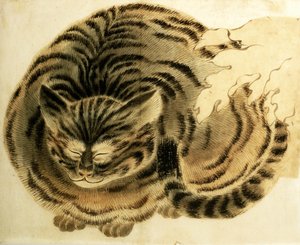 Gato dormido, pub. c.1850 (acuarela sobre papel) de Japanese Photographer