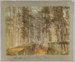 Escaleras de piedra hacia la tumba de Ieyasu, Nikko, Japón de Japanese Photographer