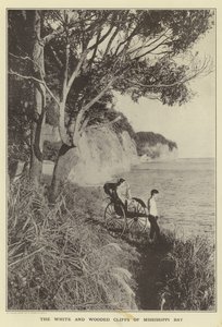 Los acantilados blancos y boscosos de la Bahía de Mississippi de Japanese Photographer