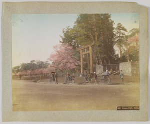Parque Uyeno, Tokio, Japón de Japanese Photographer
