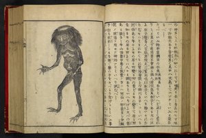 16084.d.15, f.24 A Neneko Kappa, de 
