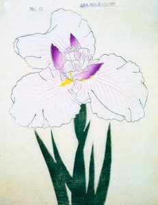 Asa-no.-Kasumi, no.43, 1898 de Japanese School