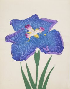 Azumabotan, No. 89, 1890 de Japanese School